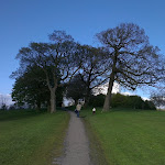 IMAG0028.jpg