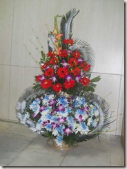 22Nov-VKB-DSCN0192