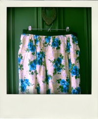 Skirt1 pola