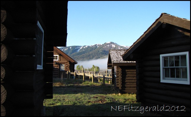 IMG_1804Lamar BuffaloRanch Cabins IMG_1804Lamar BuffaloRanch Cabins