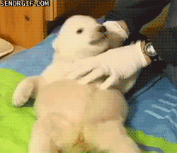 [funny-gifs-haha-cant-fight-the-tickle-monster%255B4%255D.gif]