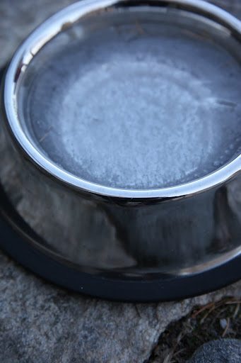 The water was frozen solid!