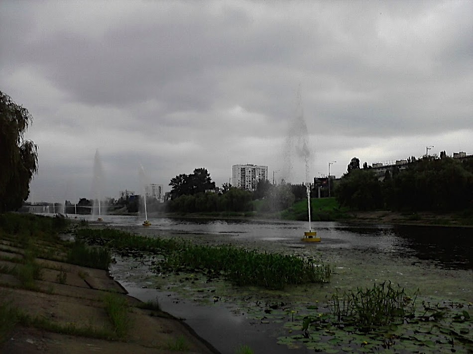 P200811_12.04.jpg