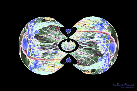 pm_20110831_bluelove1markeradekanter pm_20110831_bluelove1markeradekanter