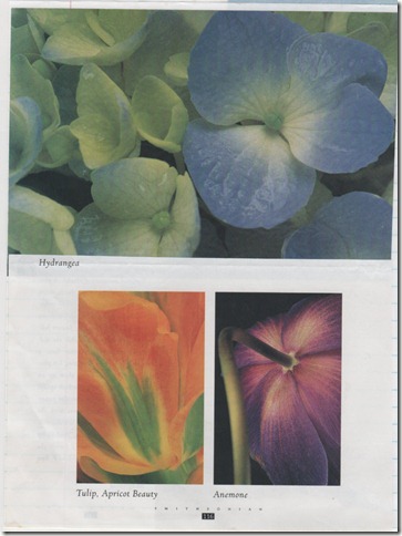 Scan-1 Scan-1