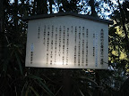 IMG_4852_512.JPG