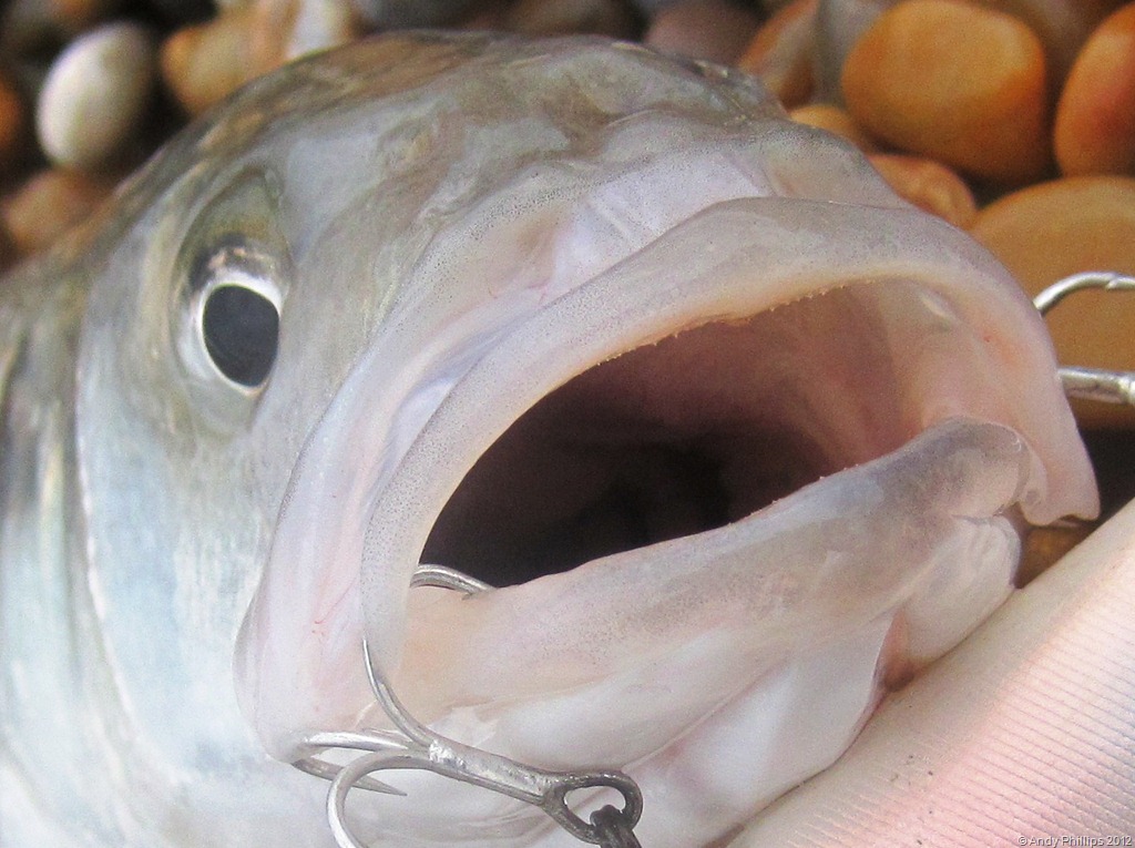 [IMG_1290%2520-%2520Copy%255B8%255D.jpg]