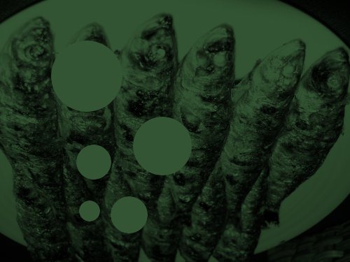 [sardinas%255B5%255D.jpg]