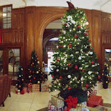 IMG_0399.JPG