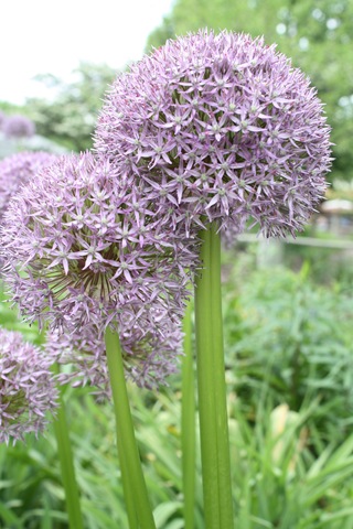 [IMG_4705%255B3%255D.jpg]