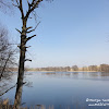 dsc06923.jpg