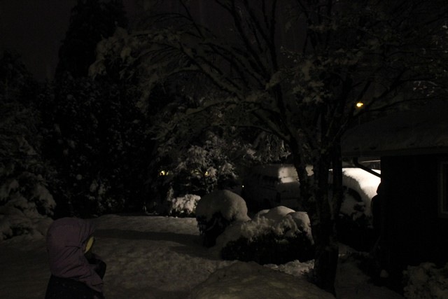 [snowpocalypse%2520%252021%255B2%255D.jpg]