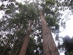 Victoria Park