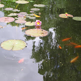 1juli
