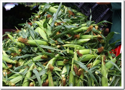 corn migliorelli