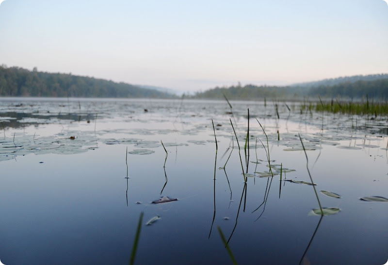 money shot lake amy renea a nest for all seasons money shot lake amy renea a nest for all seasons