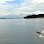DSC_1003.JPG