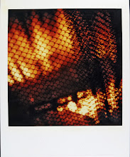 jamie livingston photo of the day December 05, 1991  Â©hugh crawford