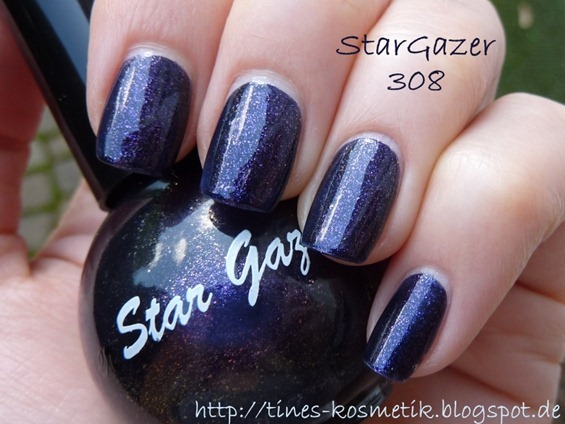 StarGazer 308 1 StarGazer 308 1