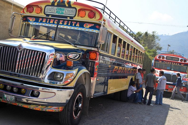 chicken-buses-5 chicken-buses-5