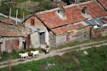 Veliko Tarnovo, Bulgaria 341.JPG
