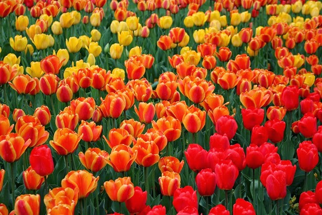 IMG_0878 IMG_0878