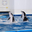 hokkaido_456.jpg
