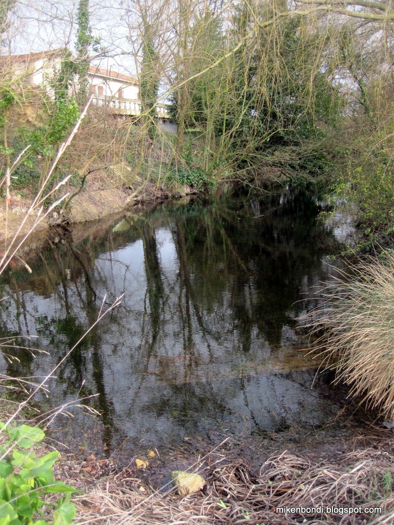 [clear%2520pond%255B3%255D.jpg]