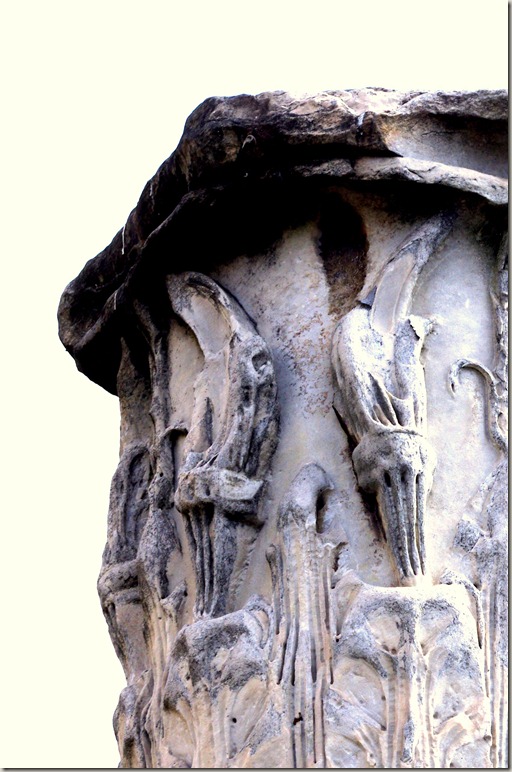 Rome 5 March 262