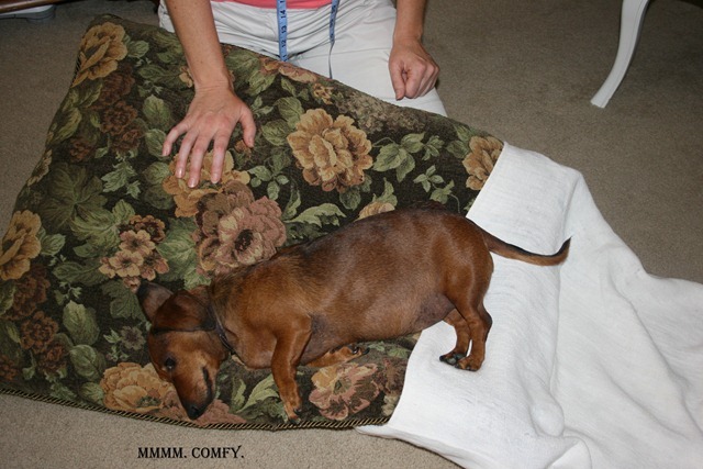 Rudi's Cushion 012