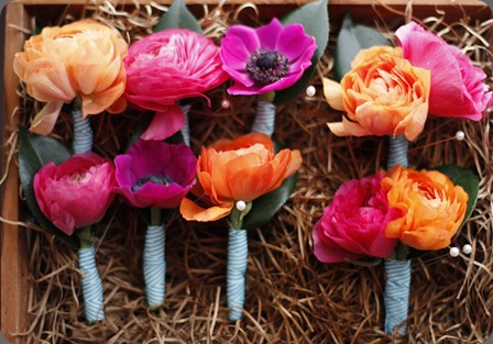 7174769162_20dc6c6c84_z honey and poppies