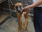 Ziggy gracias a la su linda familia