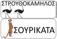 ΖΩ12 ΖΩ12