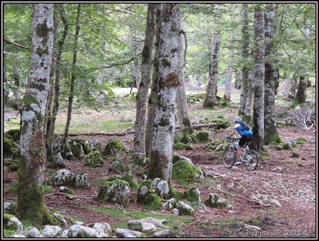 btt urbasa 112 btt urbasa 112