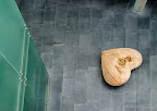 Heart by Jorn Ronnau