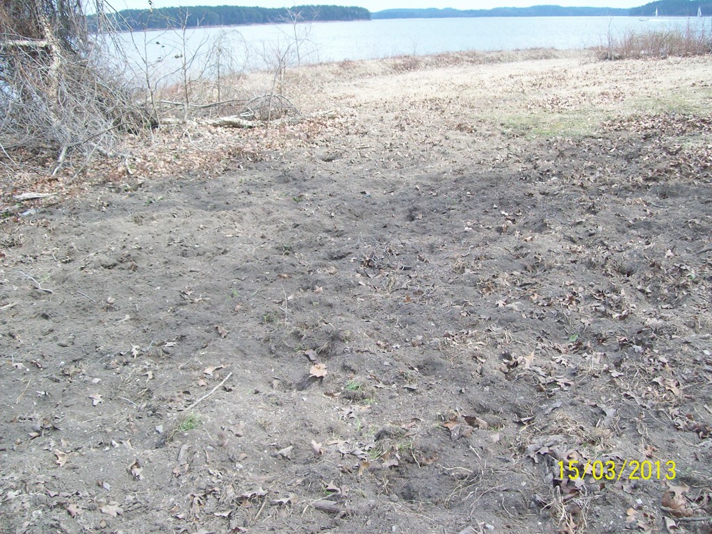 [100_35893.jpg]
