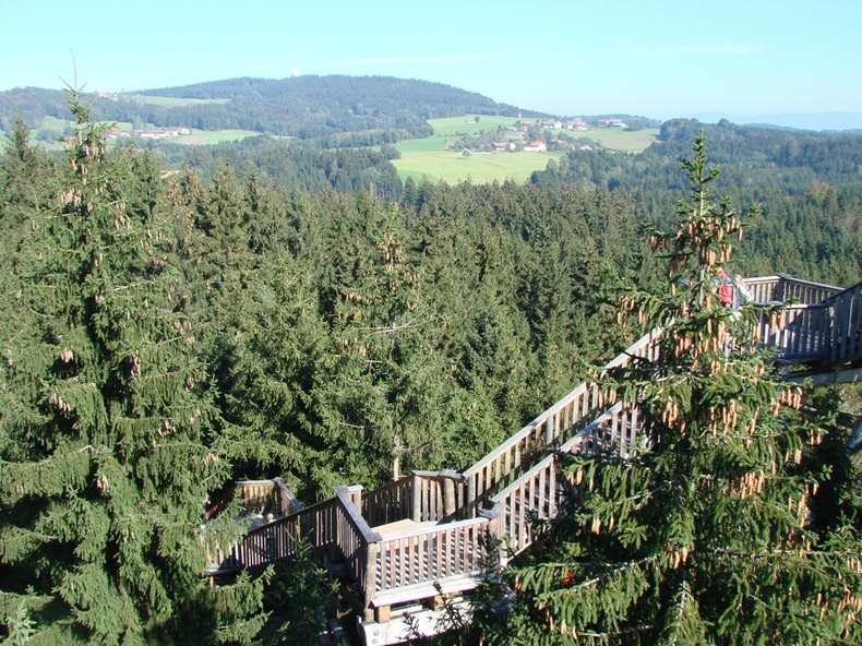 bavaria-treetop-walk-2