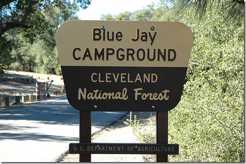 Blue Jay Sign