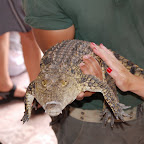 DSC_7217.JPG