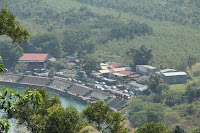 IMG_5515.JPG