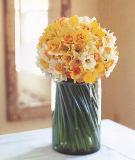 Before inserting the bouquet into a vase, cut the stems as evenly as possible, and give them a slight twist. A clear jar reveals the swirl of green stems -- a perfect foil for the yellow flowers. (The Best of Martha Stewart Living -- Arranging Flowers) Before inserting the bouquet into a vase, cut the stems as evenly as possible, and give them a slight twist. A clear jar reveals the swirl of green stems -- a perfect foil for the yellow flowers. (The Best of Martha Stewart Living -- Arranging Flowers)