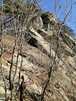 IMG_0202.jpg Photo
