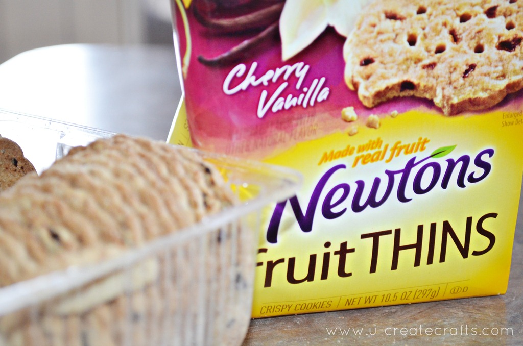 [Newtons%2520Fruit%2520Thins%2520Review%255B5%255D.jpg]
