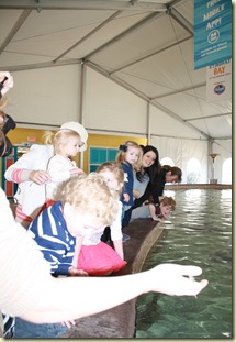 IMG_8134 IMG_8134