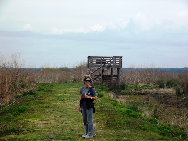 [BolenBluffTrailSpringEquinox0151.jpg]