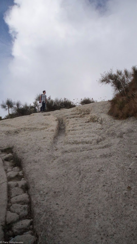 SAM_3379 m SAM_3379 m