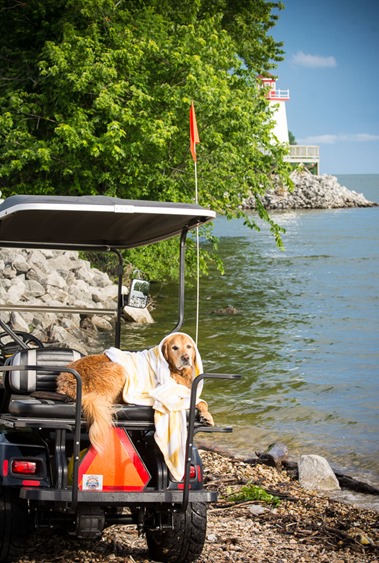 Albert on Golf Cart