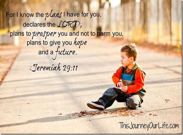 jer2911037 jer2911037