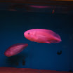 hokkaido_533.jpg