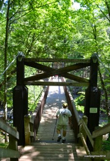 Swinging Bridge